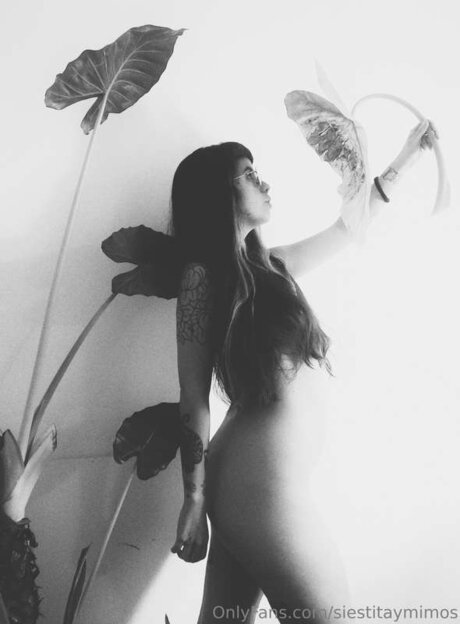 Siestitaymimos modèle de sexe des photos