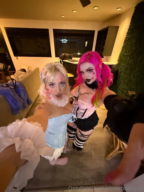 chaton potelé uniquementfans chaud joli images