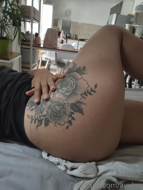 Ayylen star du porno parfaite collection