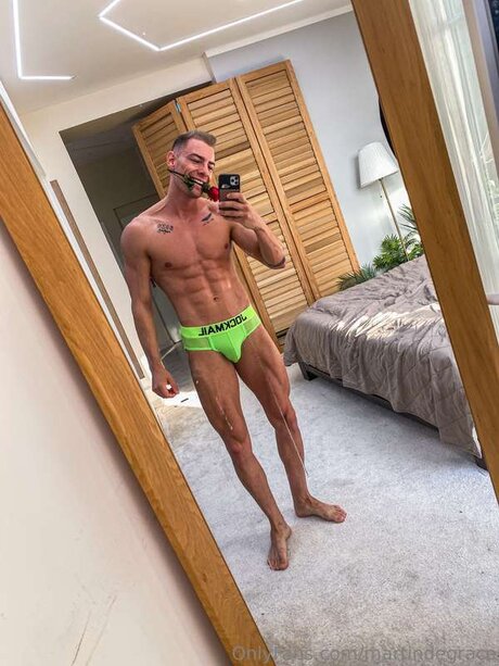 Martinwildx étoile magnifique galeries