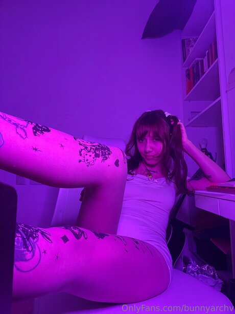 Bunnyarchv Profilfoto