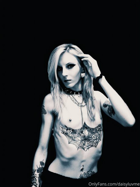 Daisyluvme nus étoiles images