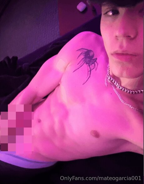 Mateogarcia001 star du porno hd photo