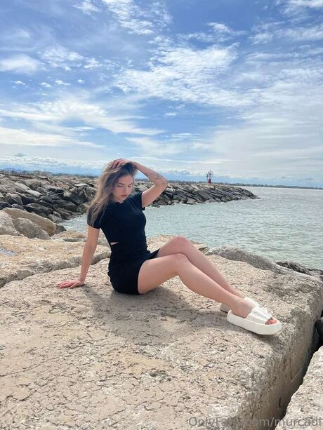 Murcadi star du porno sexy collection