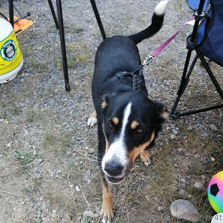 bbw épais uniquementfans la plus belle archive