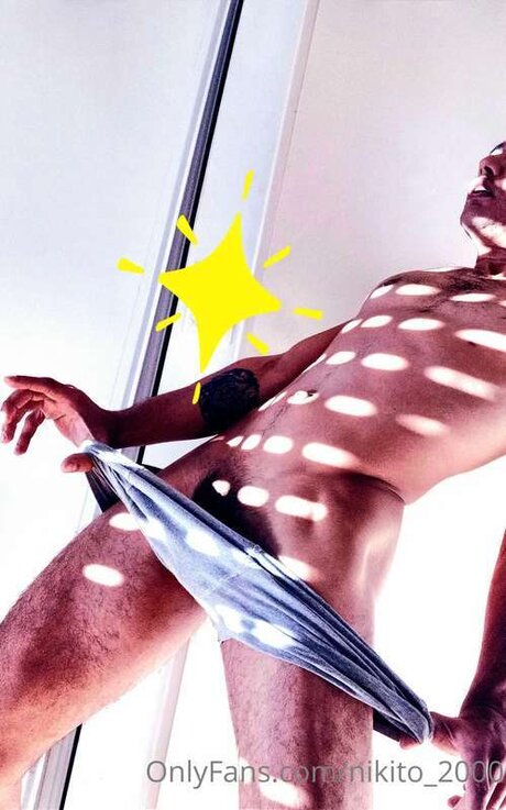 Nikito 2000 art star du porno galeries