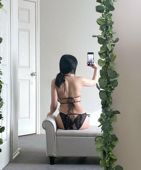 mwahgo étoile hd photo