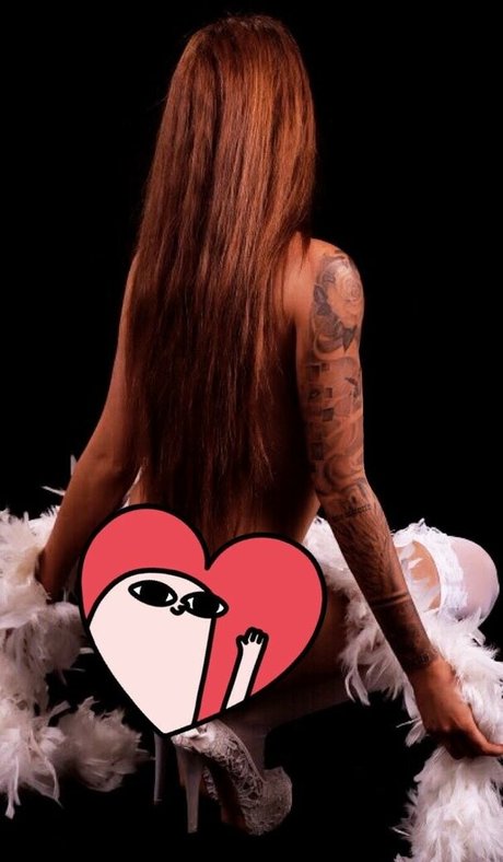 fans en fauteuil roulant uniquement art sexy photo