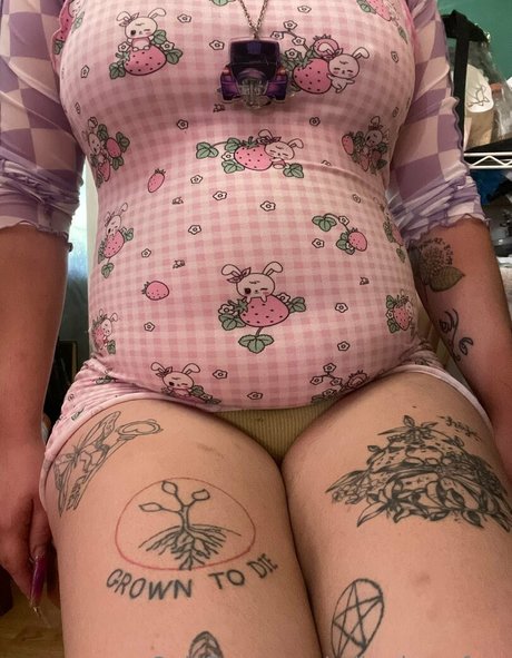 rollerdamefree star du porno gratuit galeries