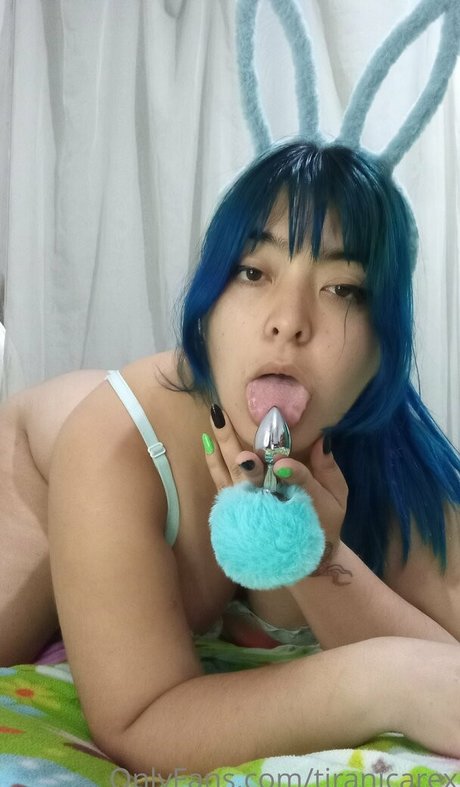 chaton courbé onlyfans belle hd photos