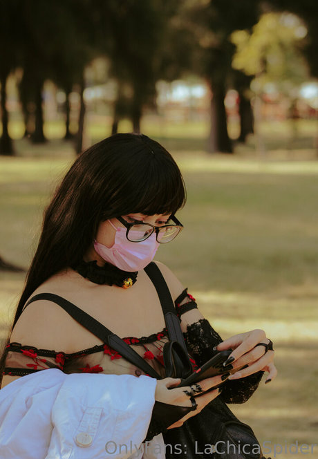 lachicaspider étoile magnifique image