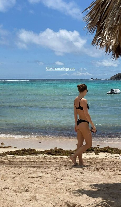 Alice Wegmann modèle hd collection