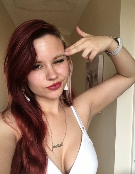 Dog Biscuits étoile de haute qualité image