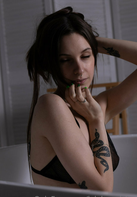 les fans débène les plus chauds assez haute qualité photo