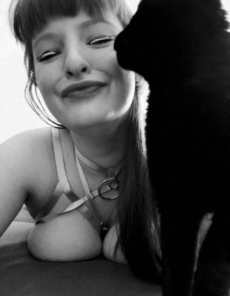 entraînement en salle de sport uniquement pour les fans gratuit meilleur des photos