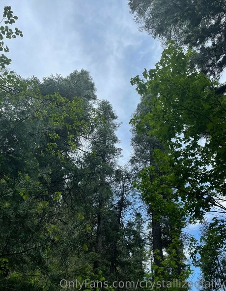 crystallizedfairy nus de stars du porno galeries