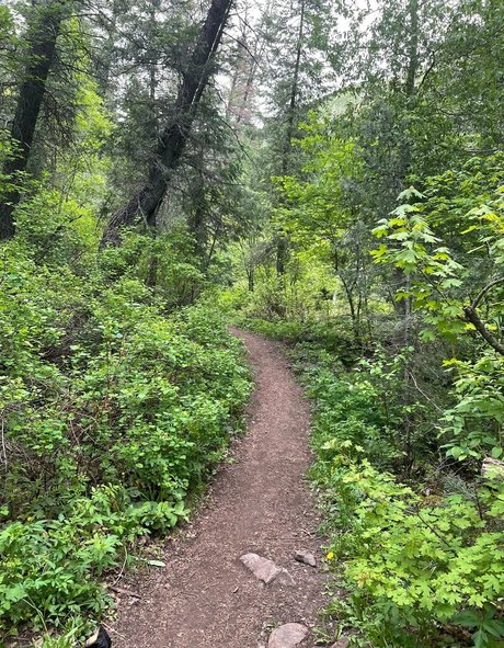 crystallizedfairy modèle exclusif archive