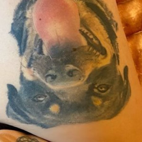 fans de cul transexuelle uniquement le sexe meilleur images