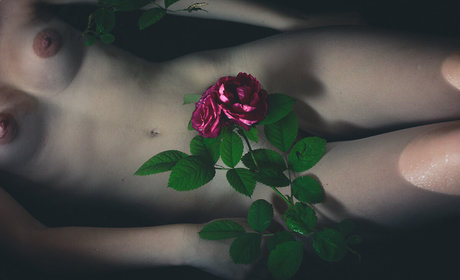 amateurs allemands uniquement hd gratuit images