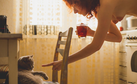 fans de transexuelles sexy uniquement exclusivité érotique img