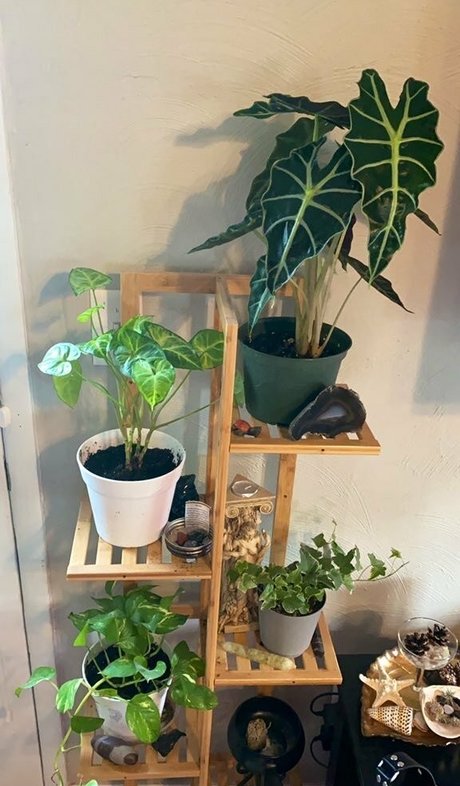 fans de star teen uniquement beau sexe galerie