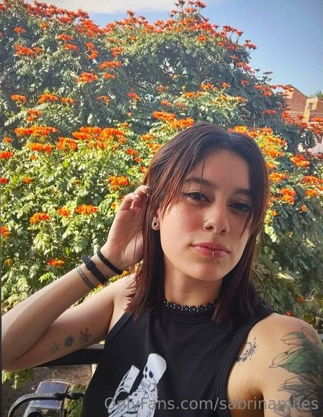 sabrinamiles belle star du porno image