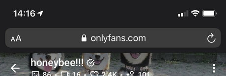 snakefoxbox star du porno photos