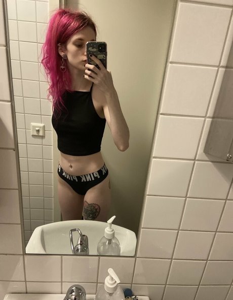 snakefoxbox étoile chaude galeries