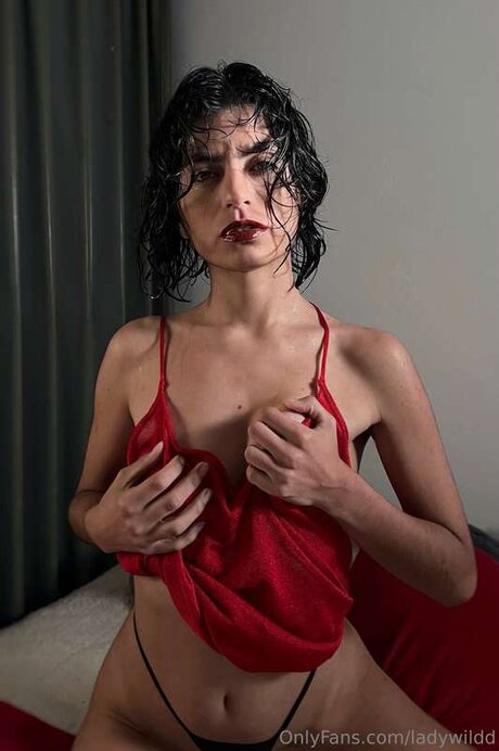 Ladywildd star du porno de haute qualité galeries