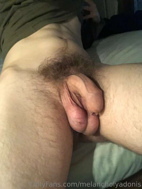 Melancholyadonis étoile adulte archive