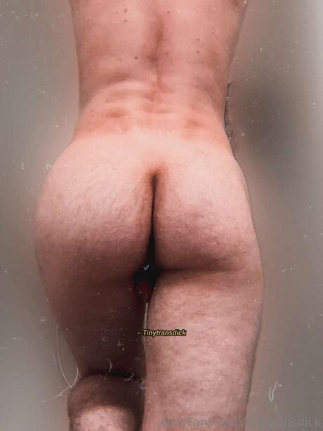 Tinytransdick modèle porno galeries