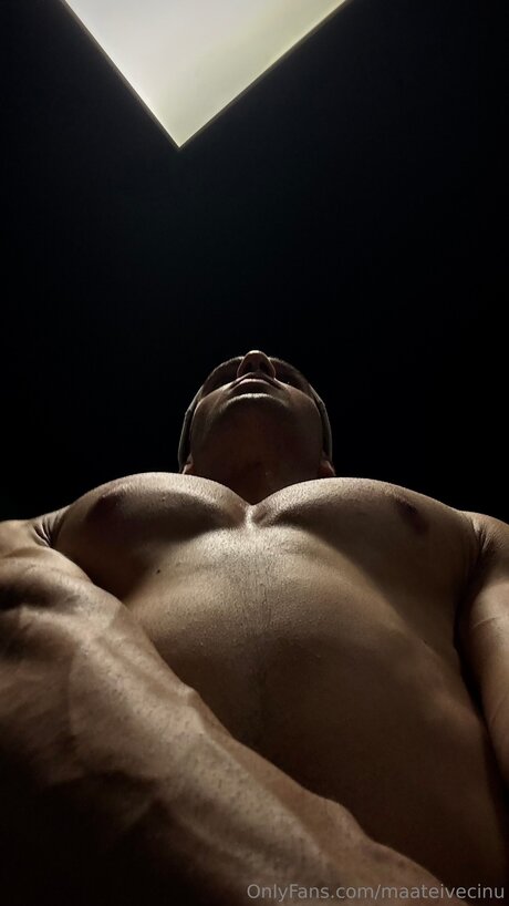 Maateivecinu modèle exclusif photo