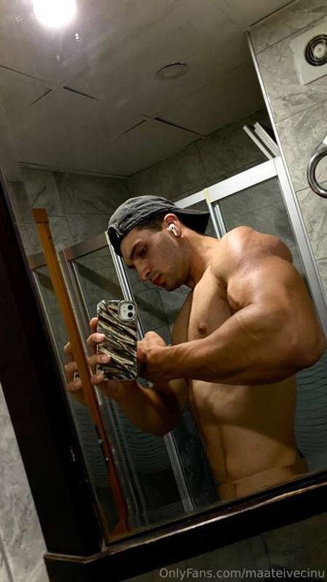 Maateivecinu modèle artistique img