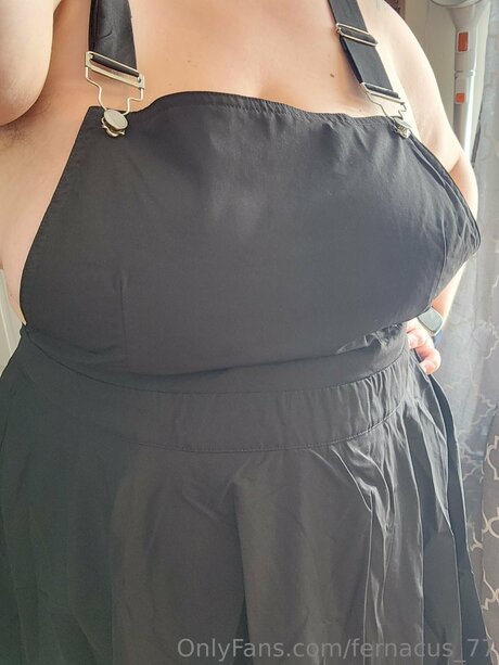 Fernacus 77 étoile de haute qualité img