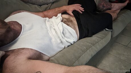 Alfredshoe modèle parfait galerie