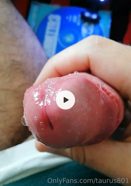 Taurus801 modèle gratuit image