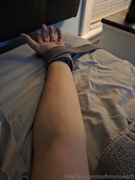 Softdomswitch xxx étoile image