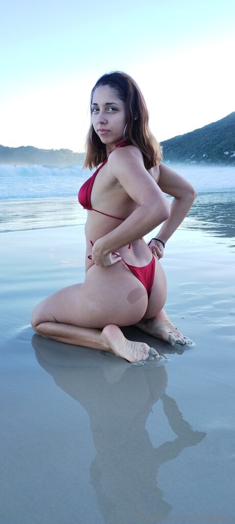 Chappxx étoile de l'art galeries