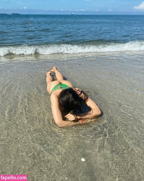 Pautips meilleure étoile collection