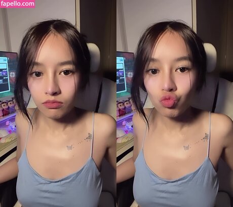 caxeks étoile exclusive archive