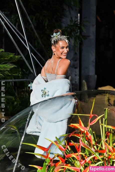 Bella Hadid modèle nu galerie
