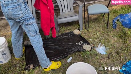 Rayactions modèle exclusif image