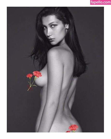 bellahadid star du porno xxx collection