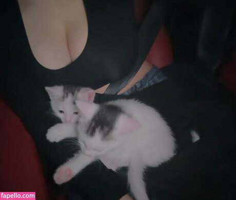 avgella sexe star collection