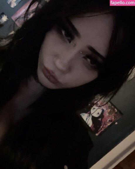 pixilers haut modèle galeries