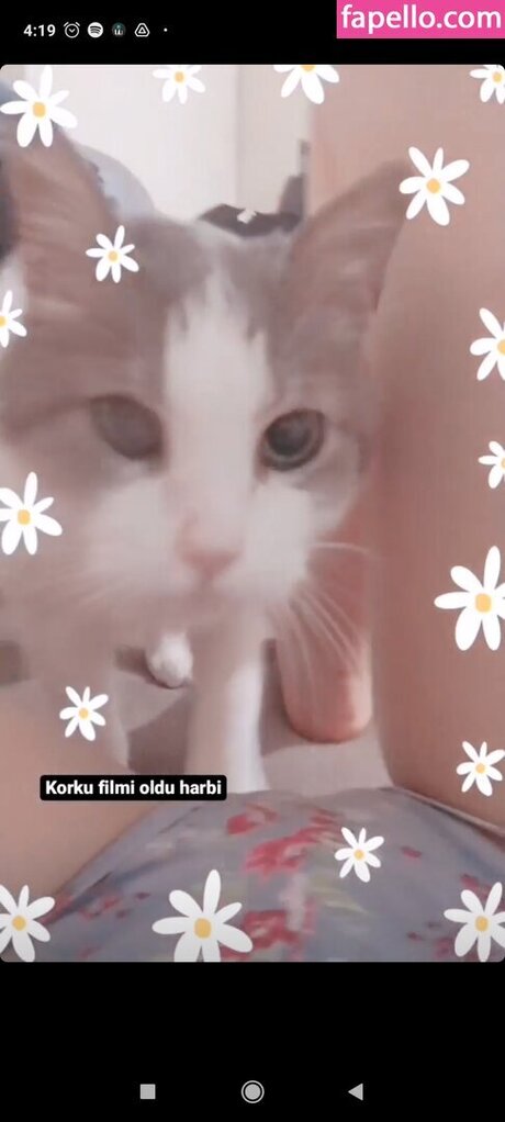 épouse arabe onlyfans porno gratuit galerie