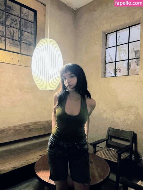 les fans asiatiques les plus sexy belle qualité archive