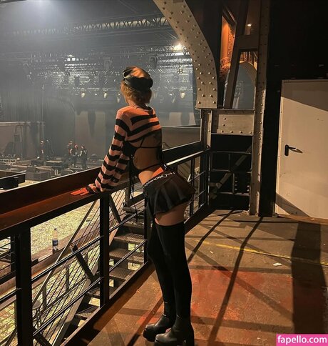 red goldenretriever meilleur modèle galeries