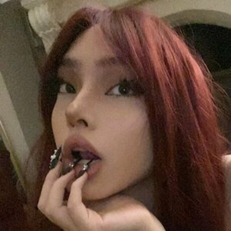 Eieniffy nus étoiles collection