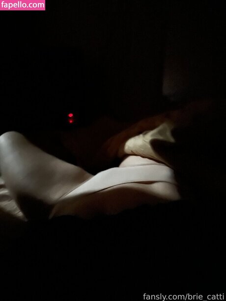 Brie cattii modèle gratuit image